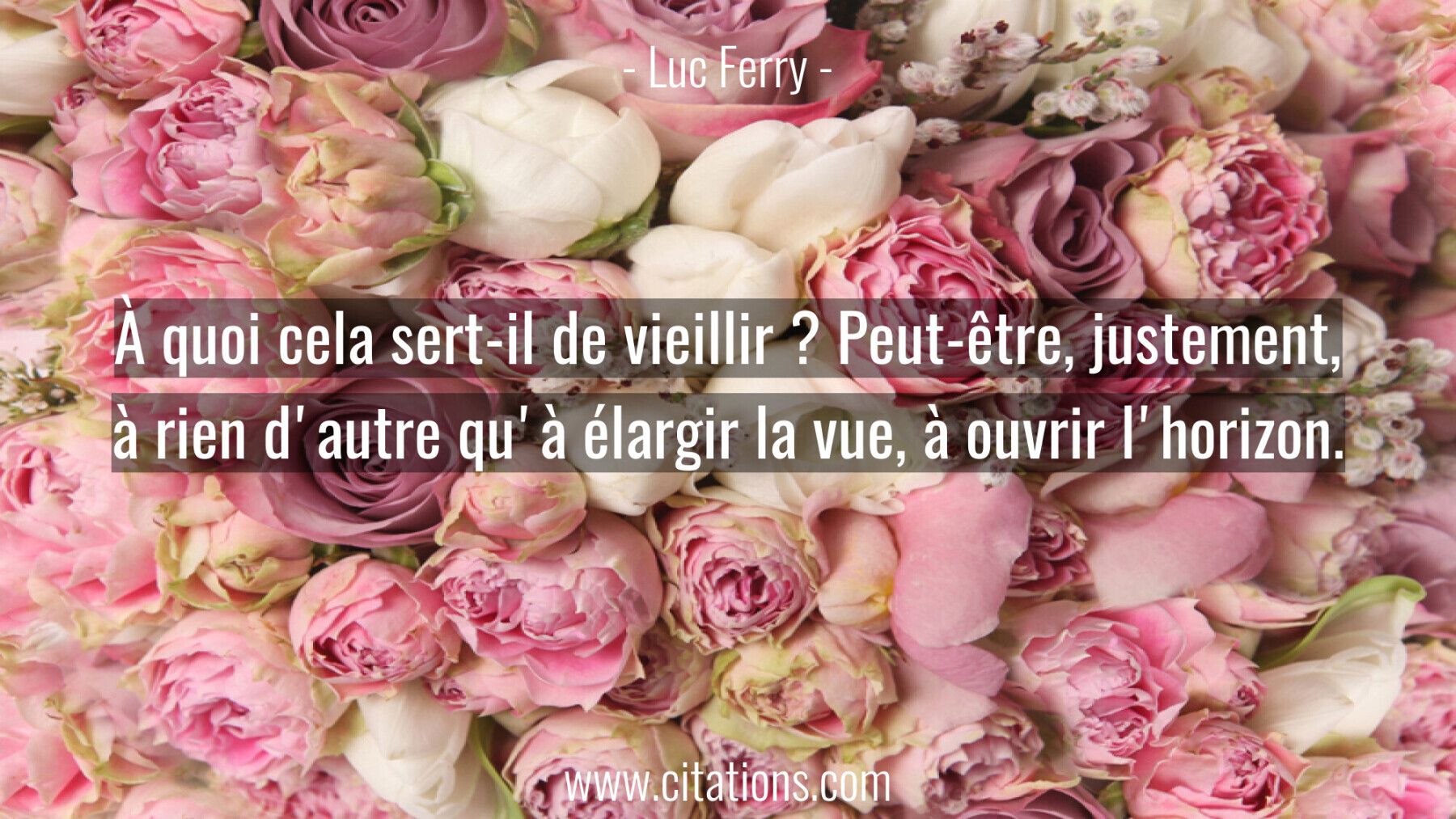 À quoi cela sert-il de vieillir ? Peut-être, justement, à