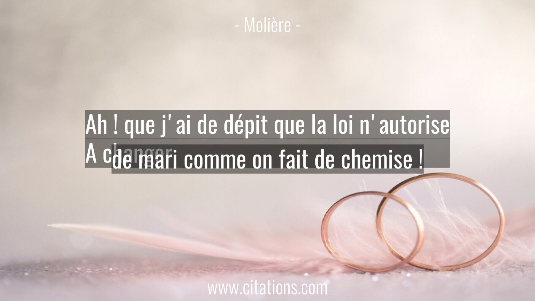 Ah ! que j'ai de dépit que la loi n'autorise A changer de mari comme on fait de chemise !