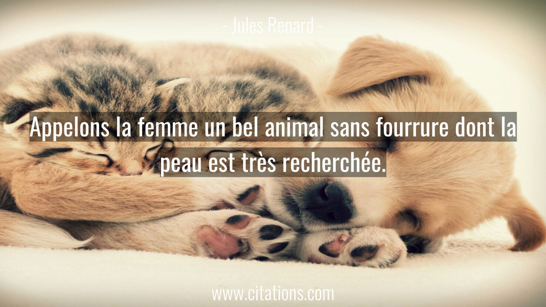 Appelons la femme un bel animal sans fourrure dont la peau est très recherchée.
