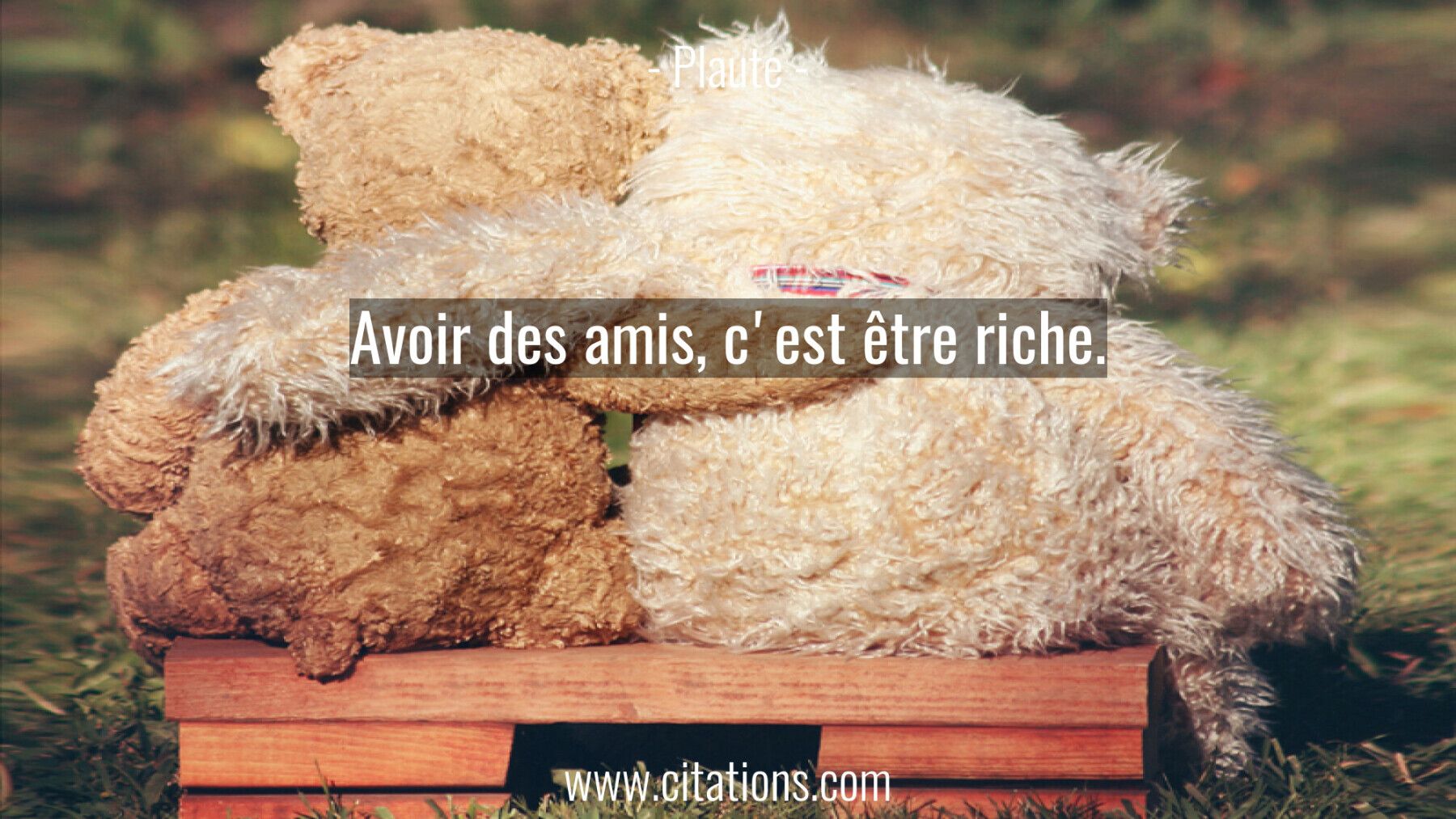 Avoir des amis, c'est être riche.