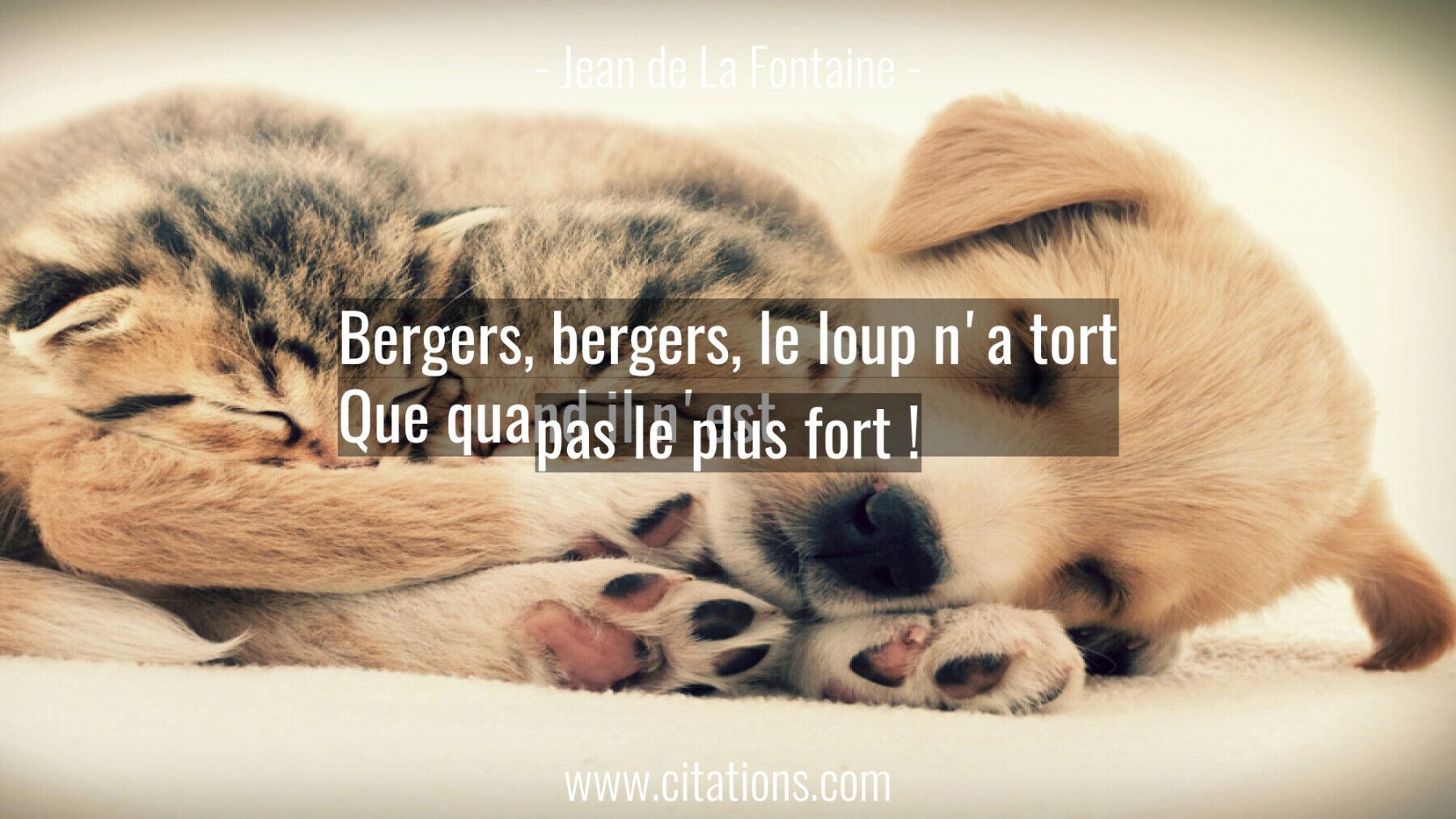 Bergers, bergers, le loup n'a tort Que quand il n'est pas le plus fort !