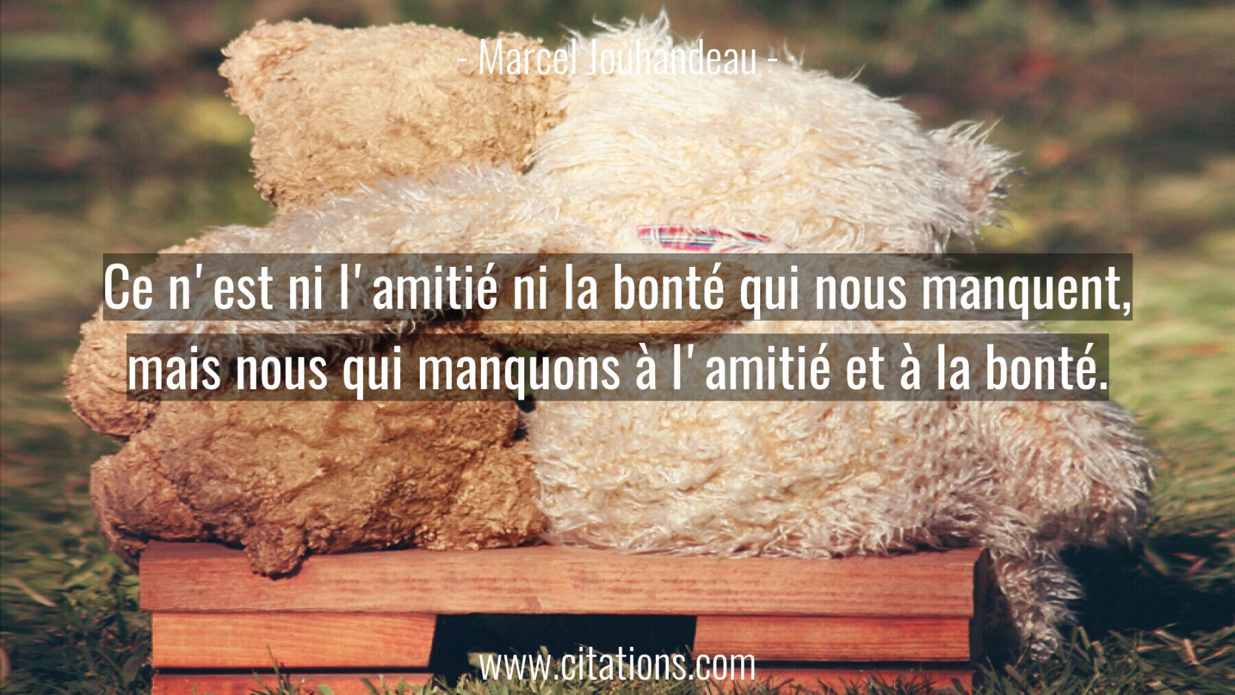 Ce n'est ni l'amitié ni la bonté qui nous manquent, mais nous qui manquons à l'amitié et à la bonté.