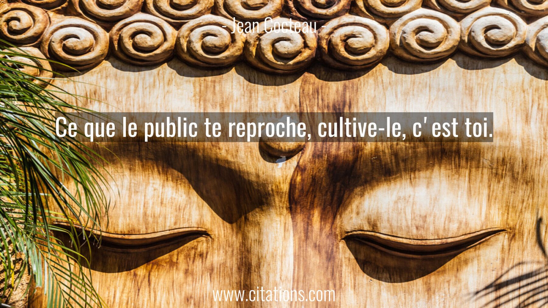 Ce que le public te reproche, cultive-le, c'est toi.