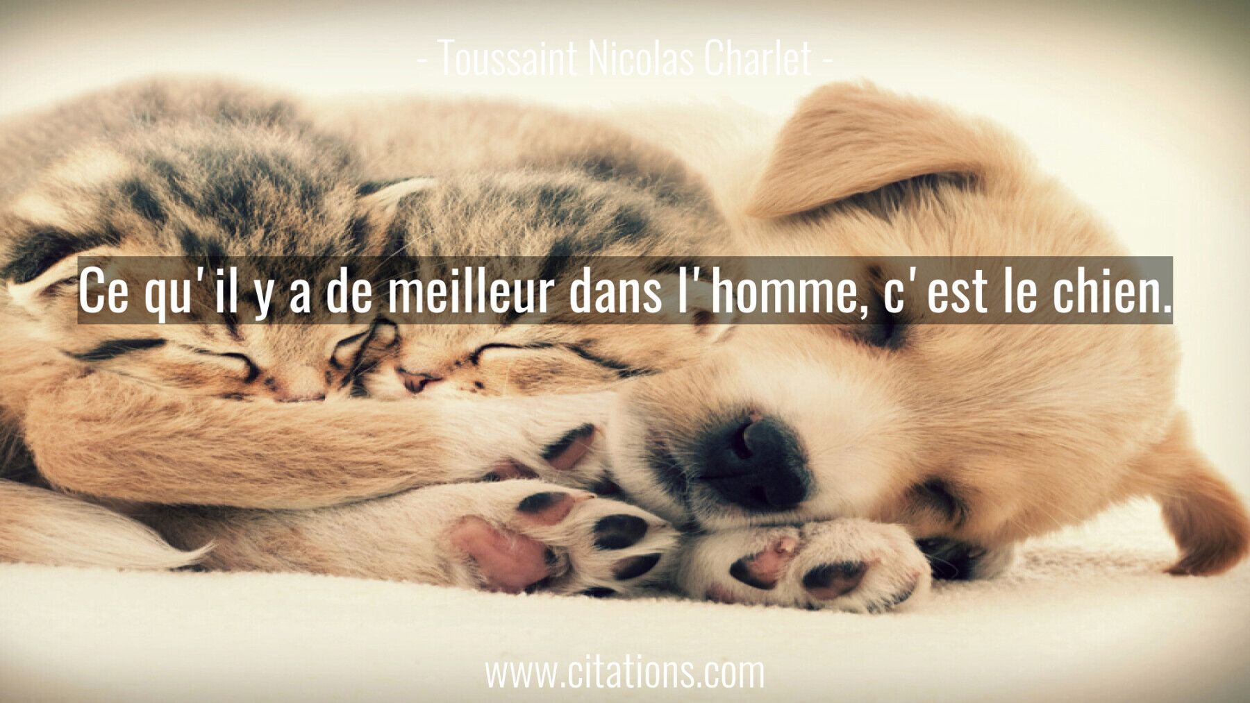 Ce qu'il y a de meilleur dans l'homme, c'est le