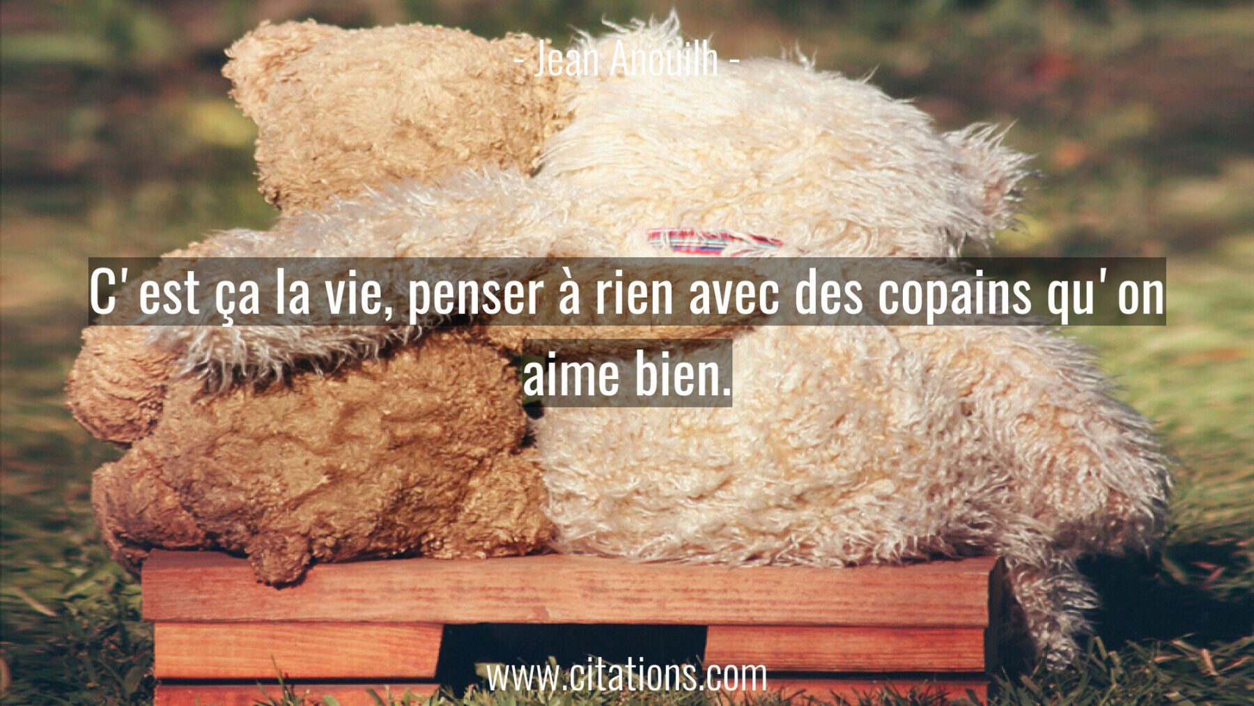 C'est ça la vie, penser à rien avec des copains qu'on aime bien.