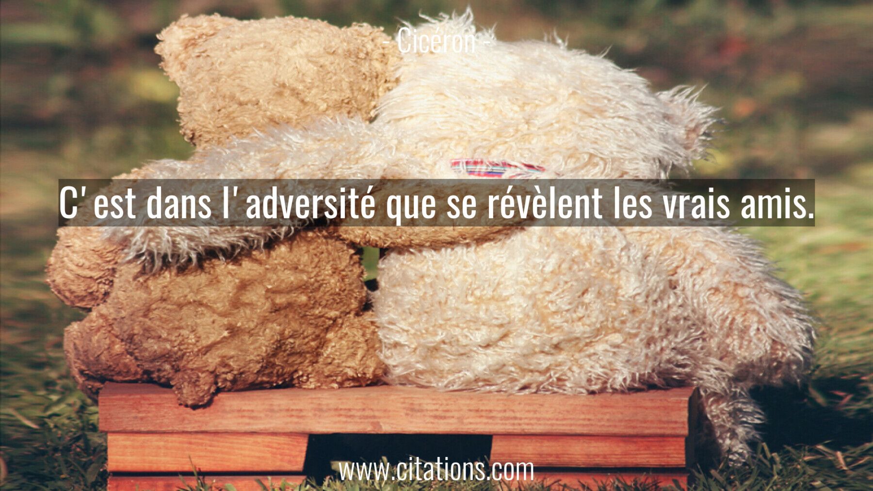 C'est dans l'adversité que se révèlent les vrais amis.