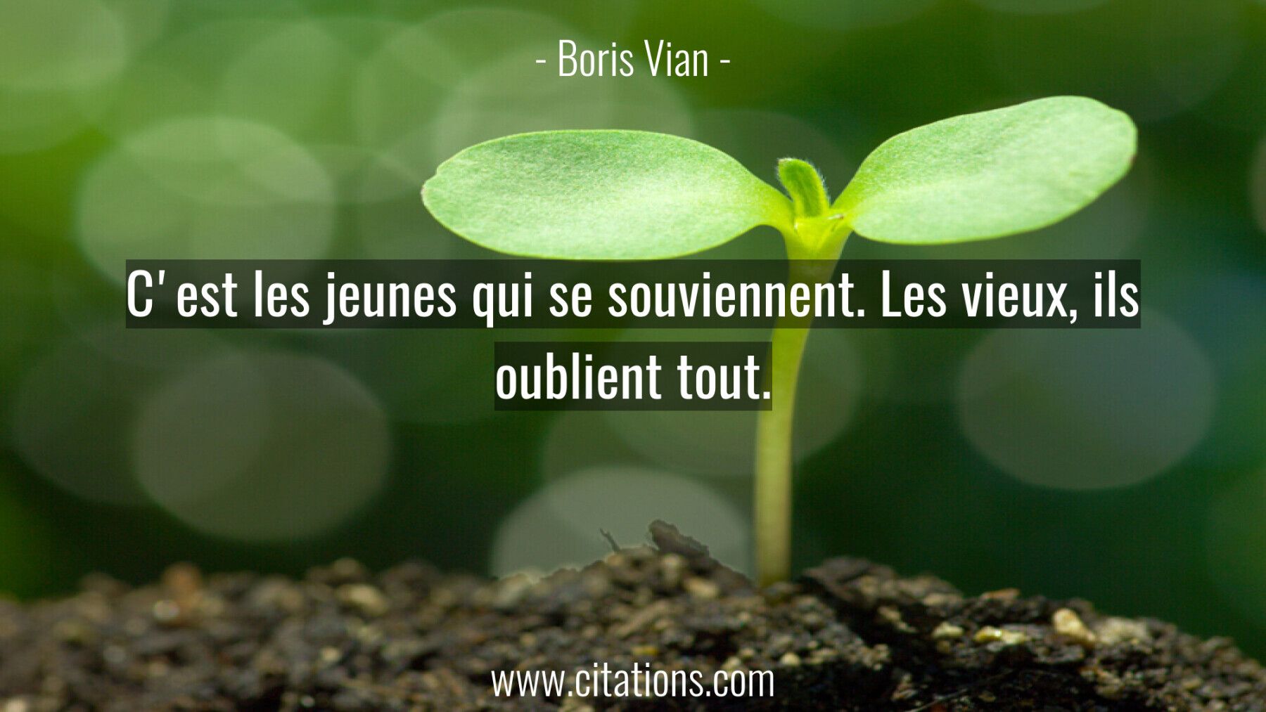 C'est les jeunes qui se souviennent. Les vieux, ils oublient tout.