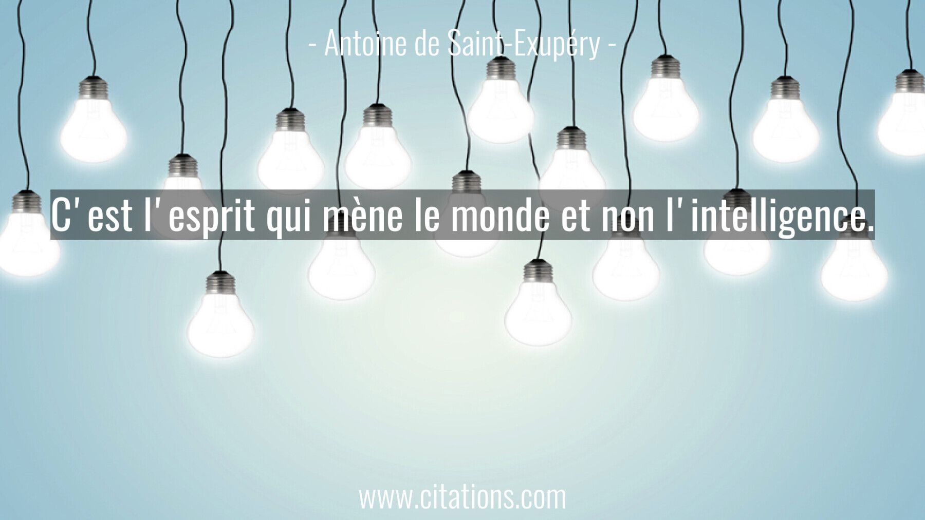 C'est l'esprit qui mène le monde et non l'intelligence.