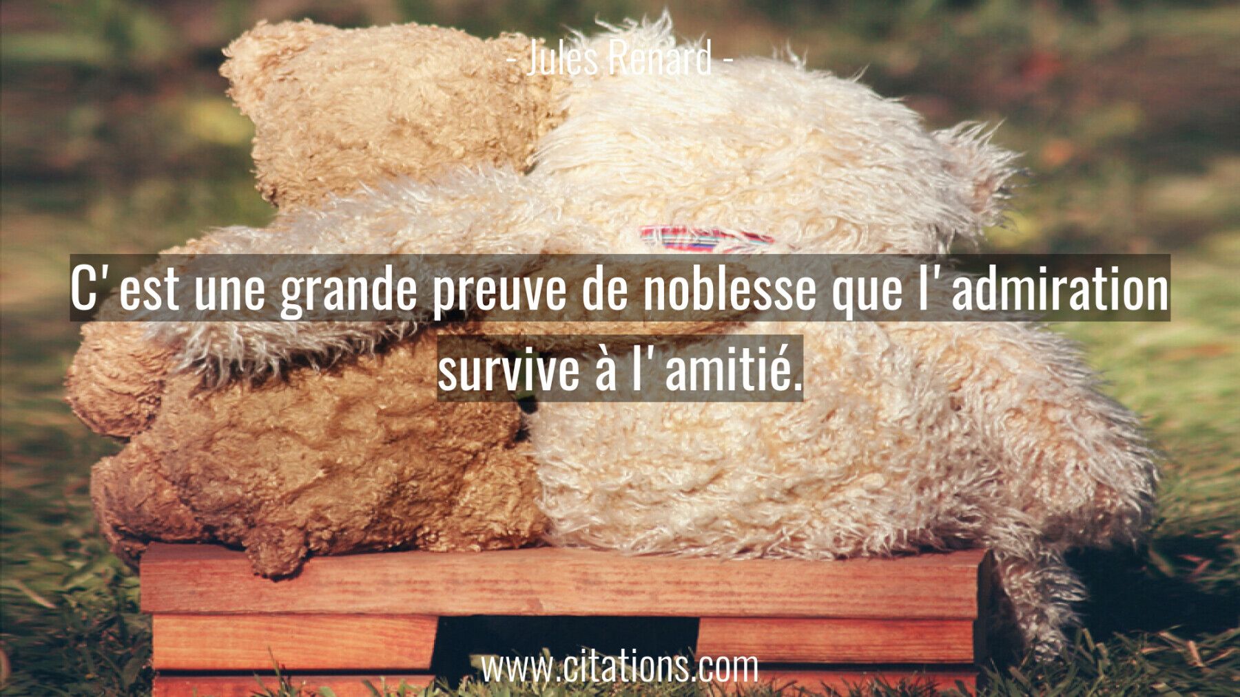 C'est une grande preuve de noblesse que l'admiration survive à l'amitié.