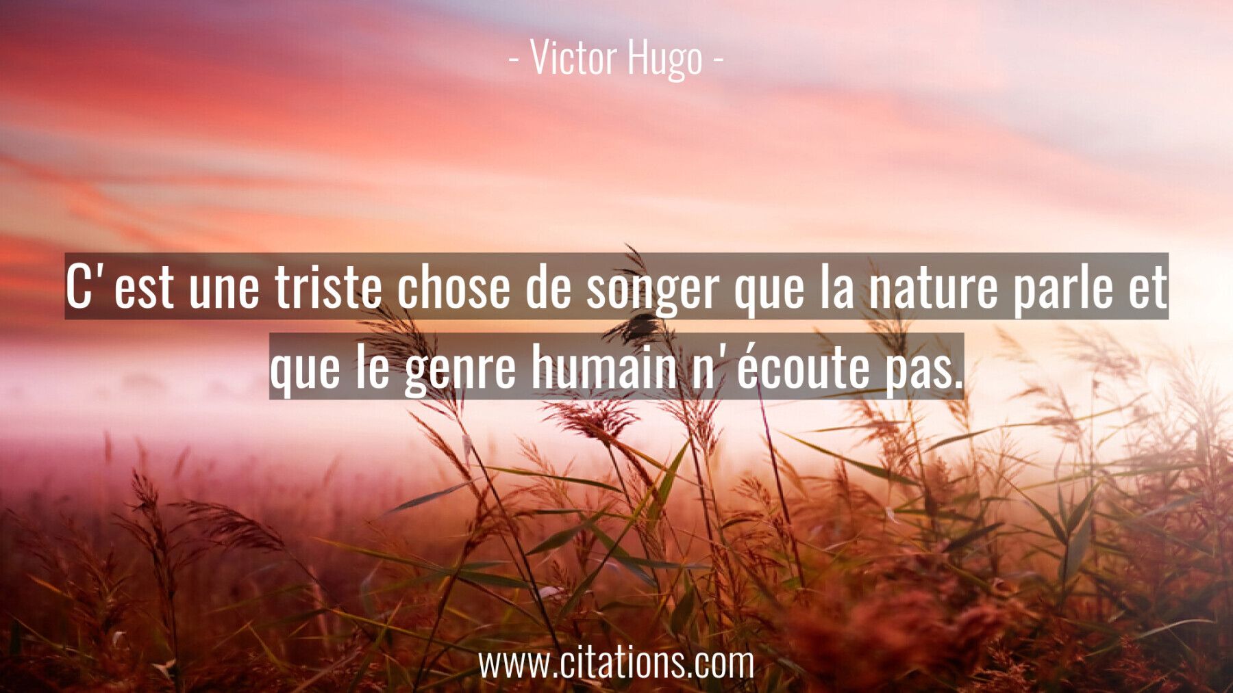 C'est une triste chose de songer que la nature parle