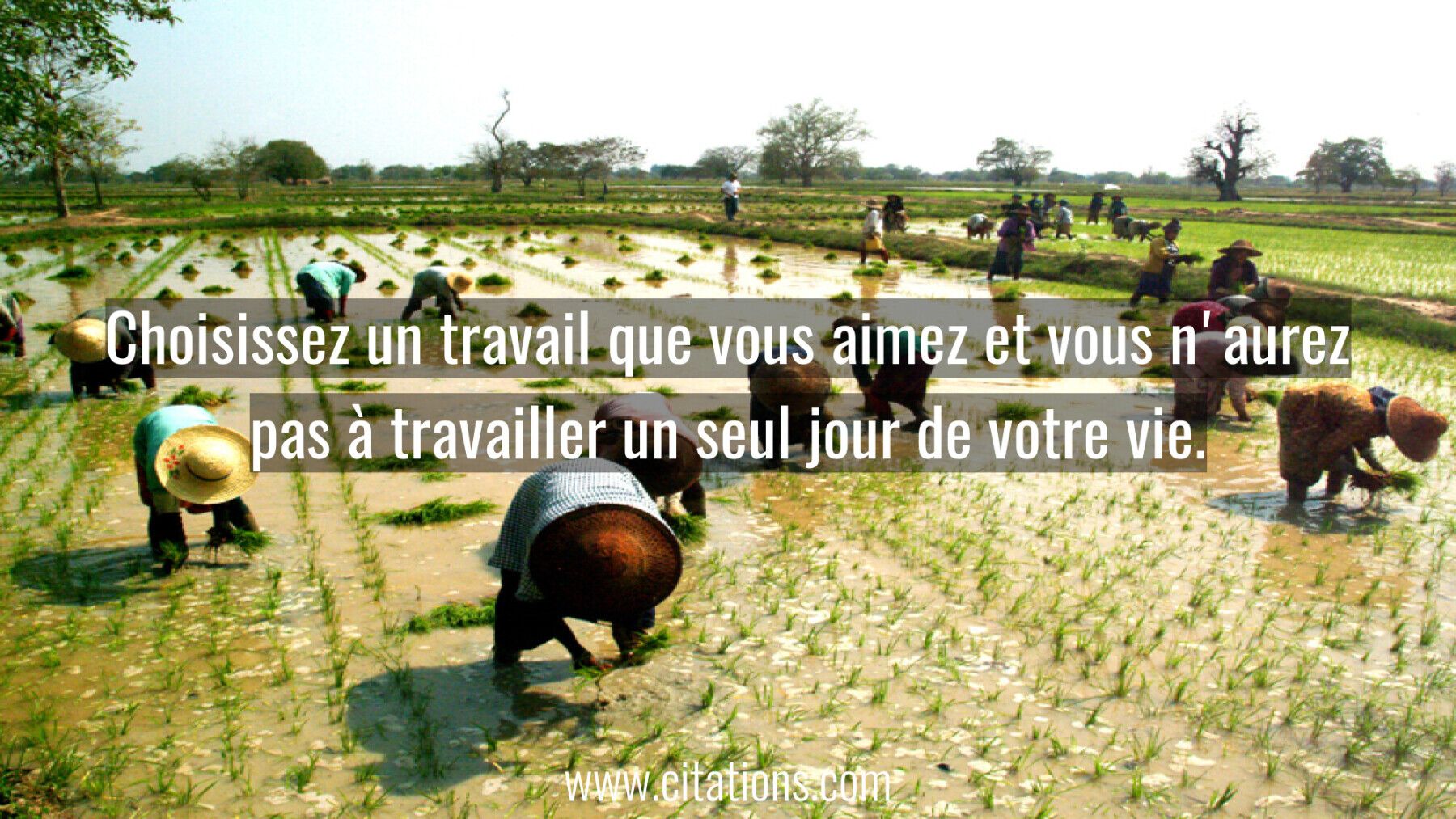 Choisissez un travail que vous aimez et vous n'aurez pas