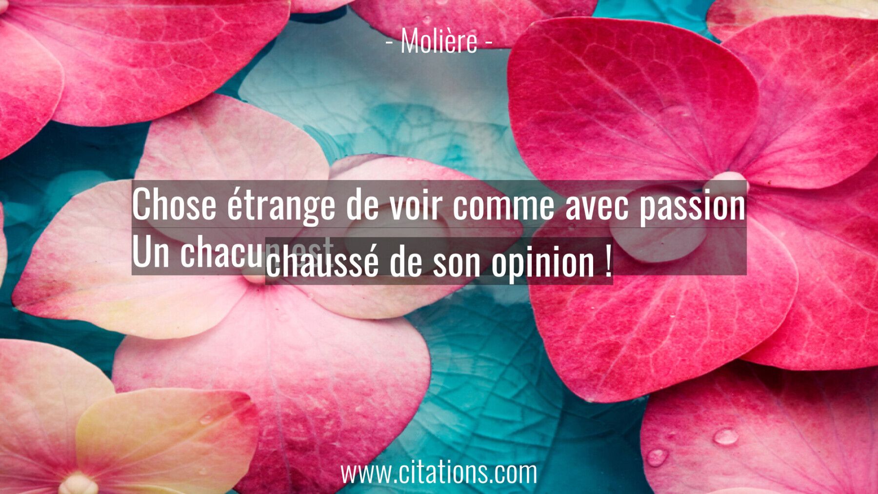 Chose étrange de voir comme avec passion Un chacun est chaussé de son opinion !