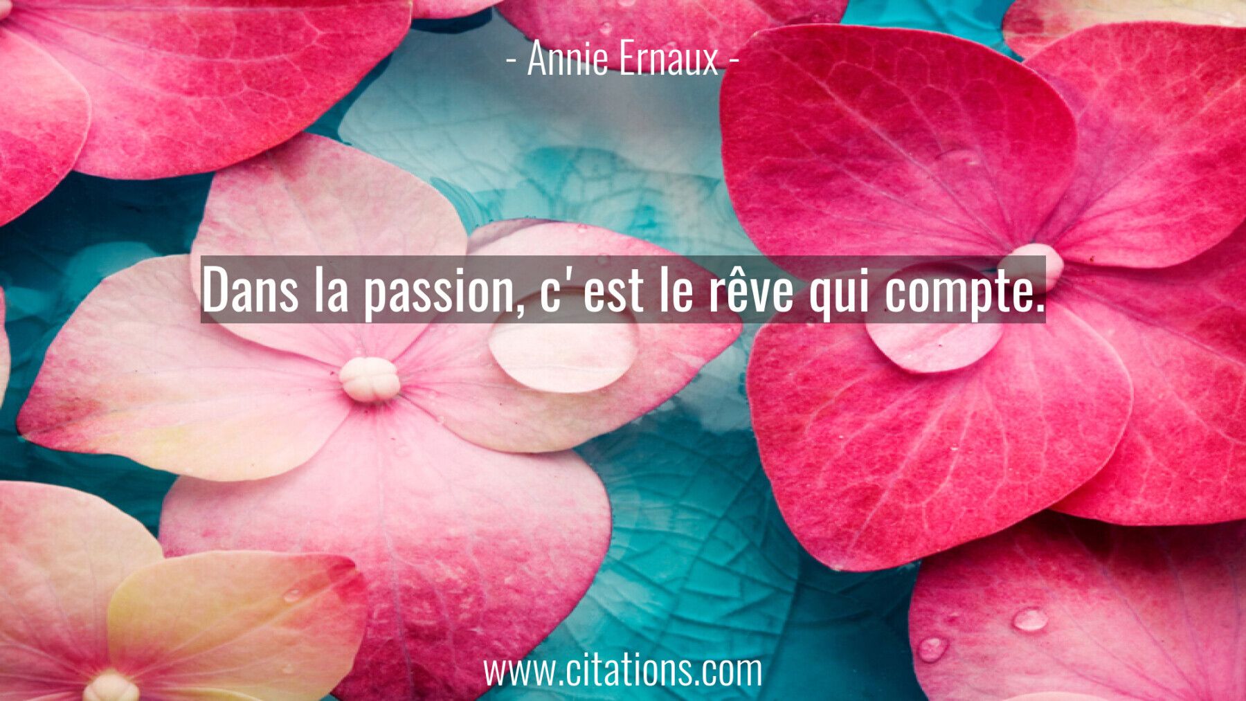 Dans la passion, c'est le rêve qui compte.
