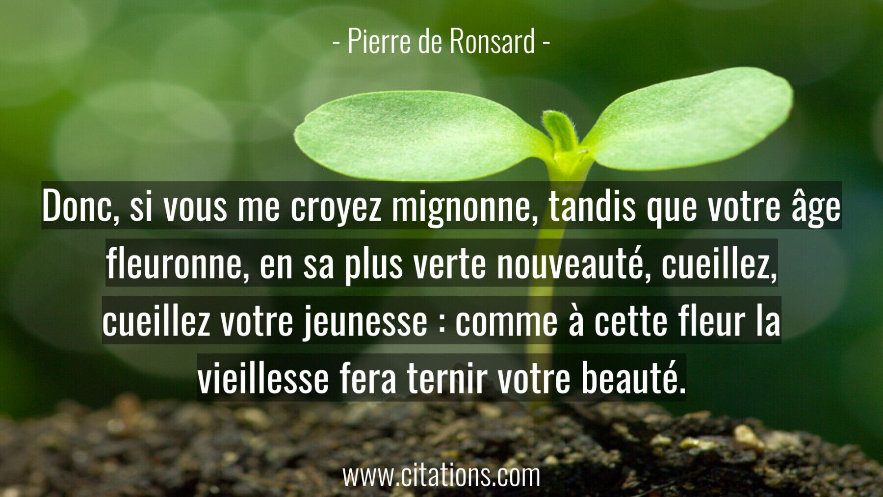 Donc, si vous me croyez mignonne, tandis que votre âge