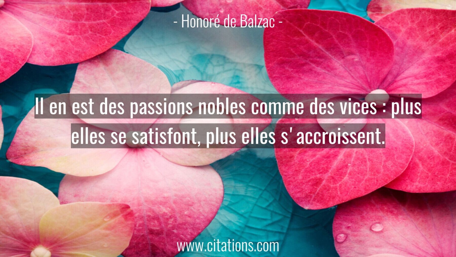 Il en est des passions nobles comme des vices : plus elles se satisfont, plus elles s'accroissent.