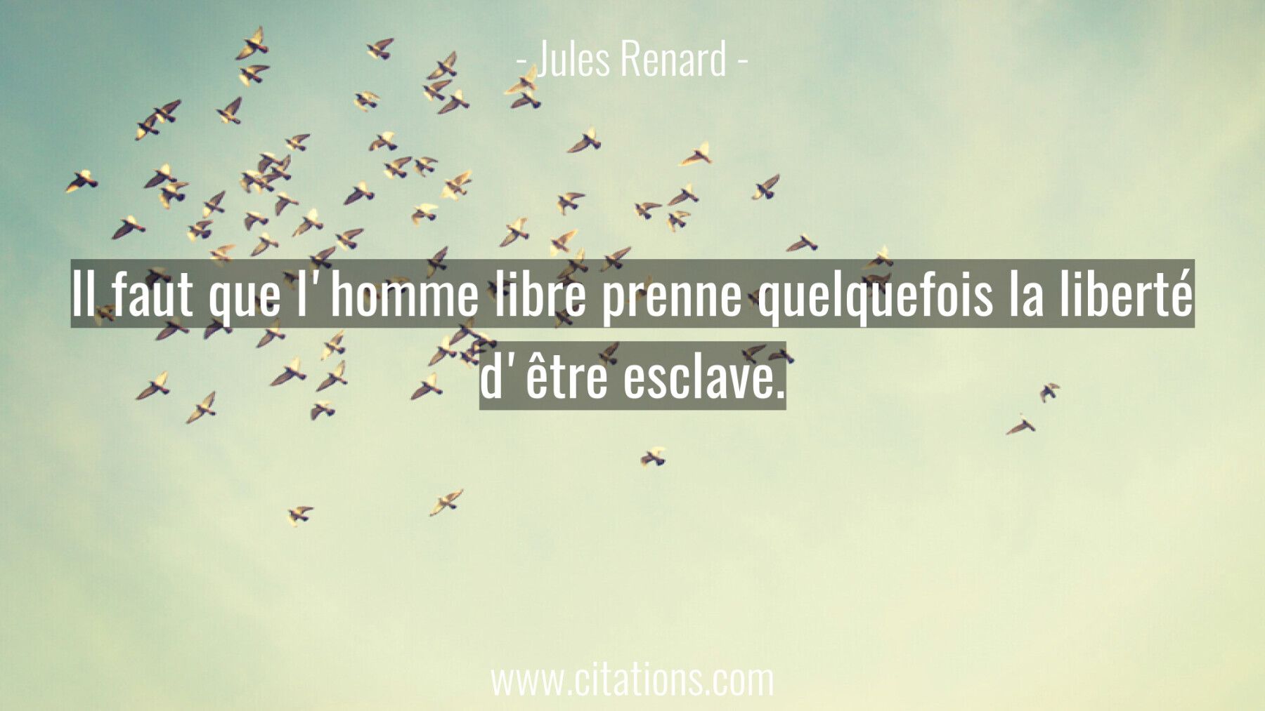 Il faut que l'homme libre prenne quelquefois la liberté d'être esclave.
