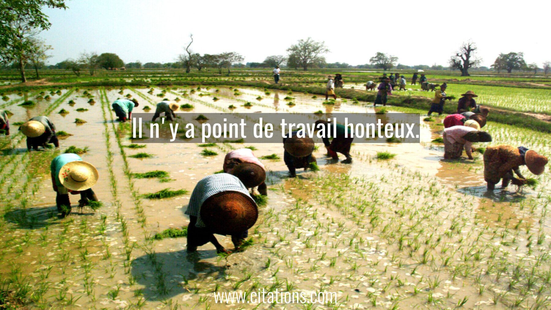 Il n'y a point de travail honteux.