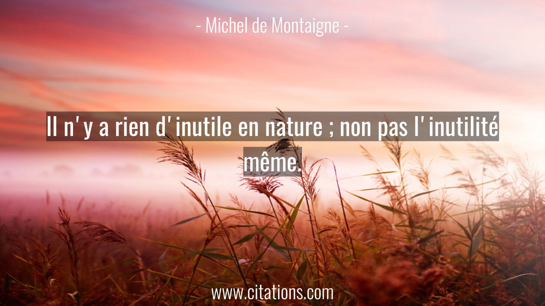 Il n'y a rien d'inutile en nature ; non pas l'inutilité même.