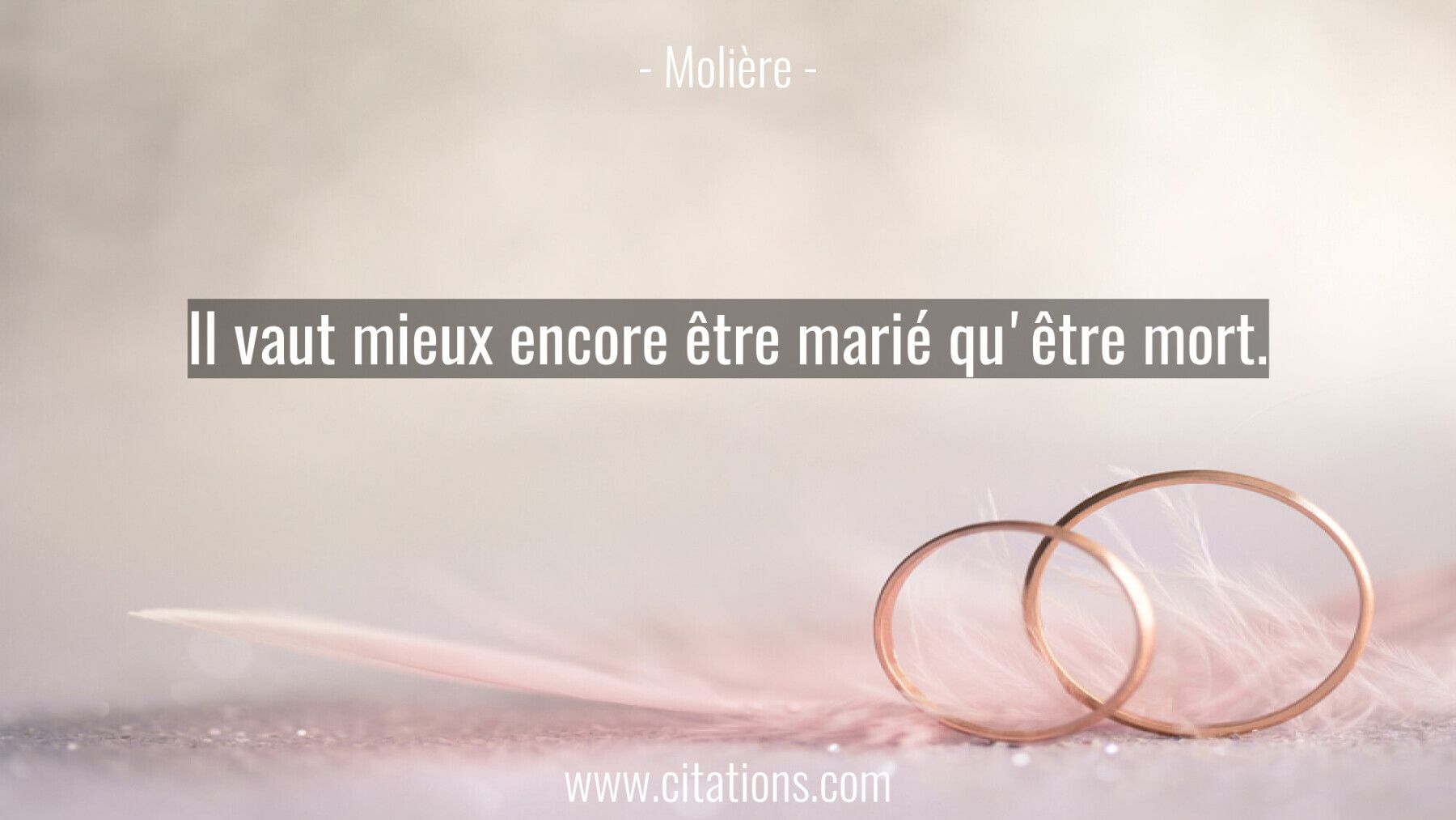 Il vaut mieux encore être marié qu'être mort.