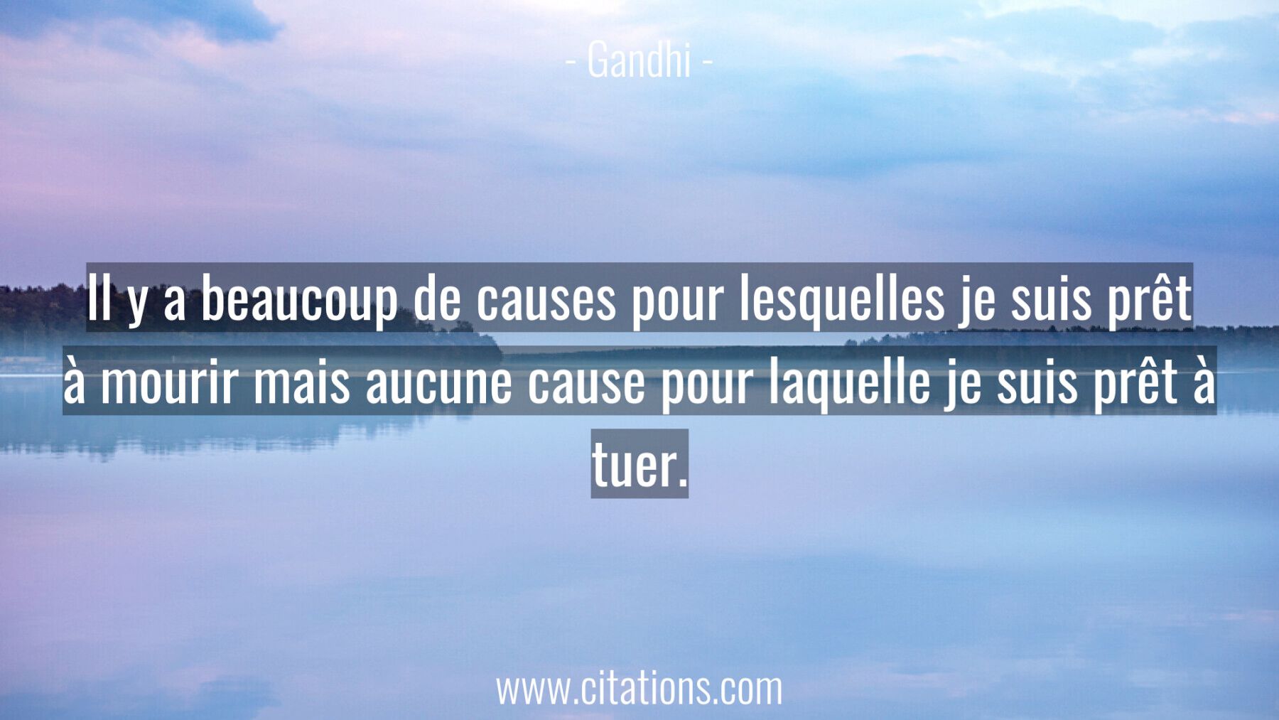 Il y a beaucoup de causes pour lesquelles je suis