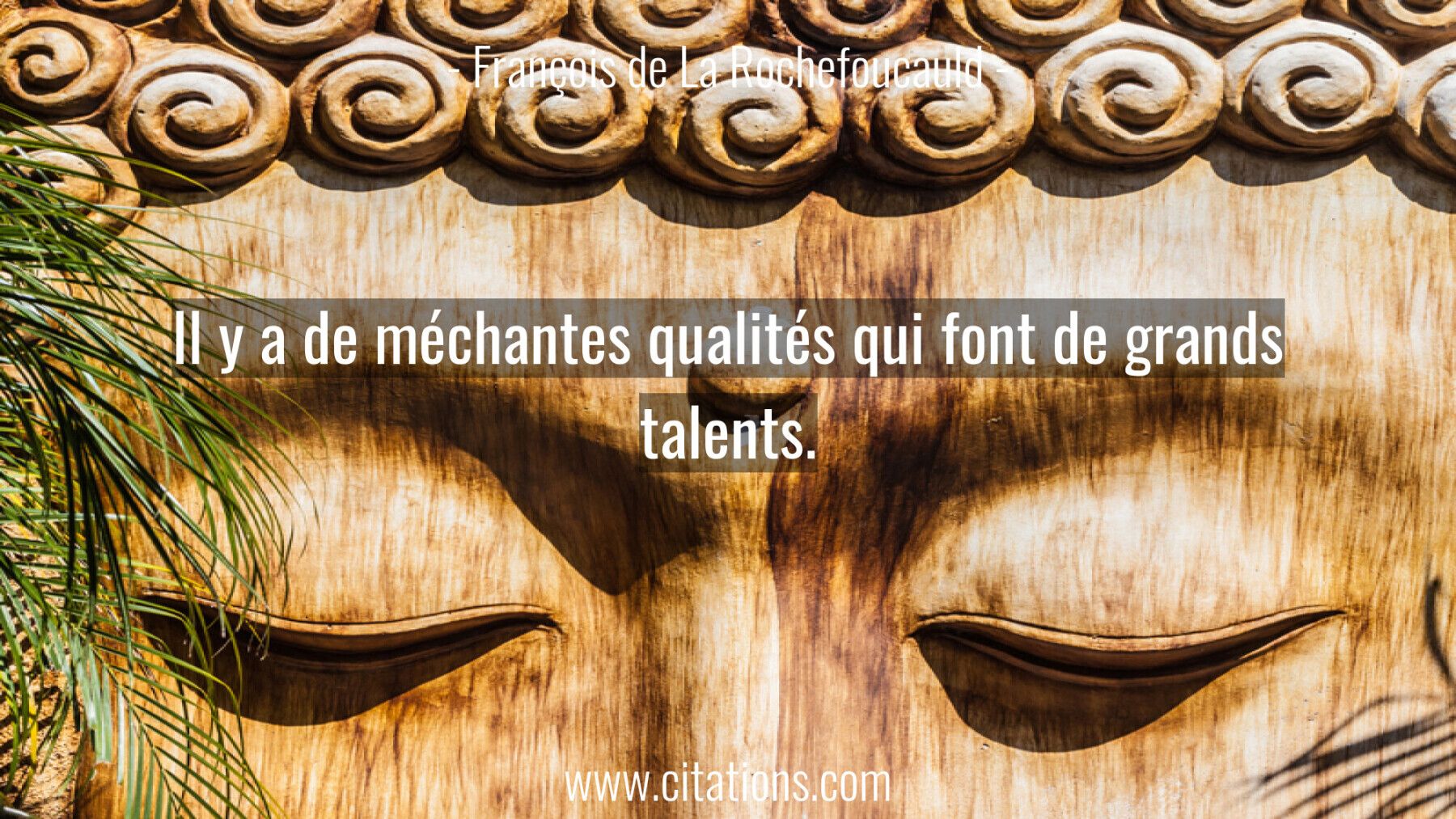 Il y a de méchantes qualités qui font de grands talents.
