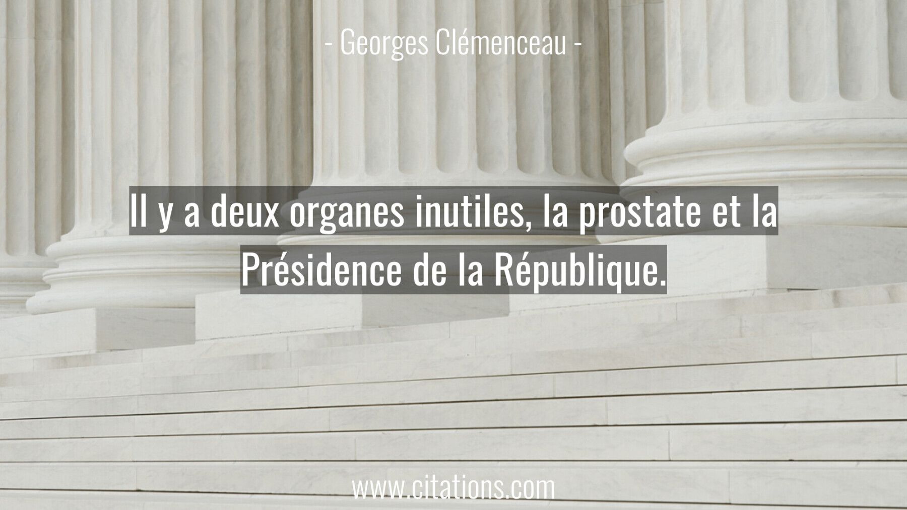 Il y a deux organes inutiles, la prostate et la