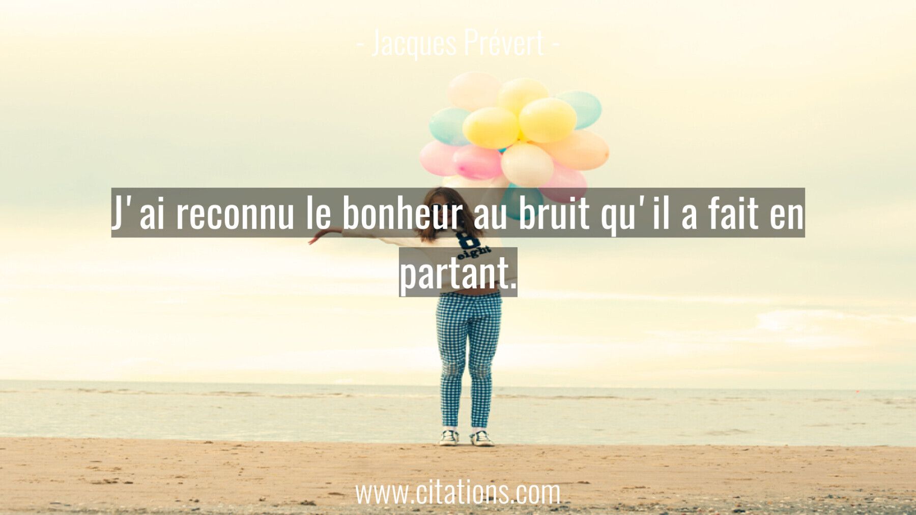 J'ai reconnu le bonheur au bruit qu'il a fait en