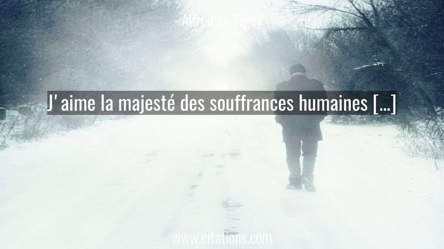 J'aime la majesté des souffrances humaines […]