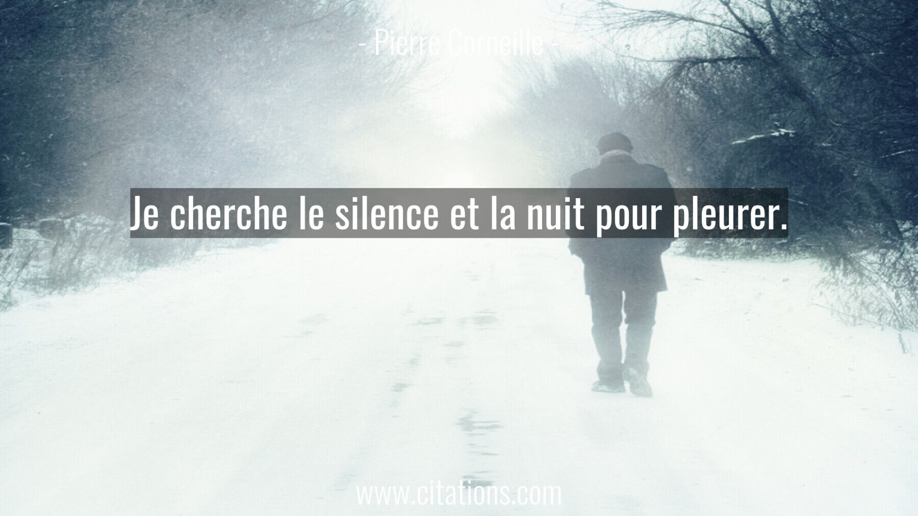 Je cherche le silence et la nuit pour pleurer.