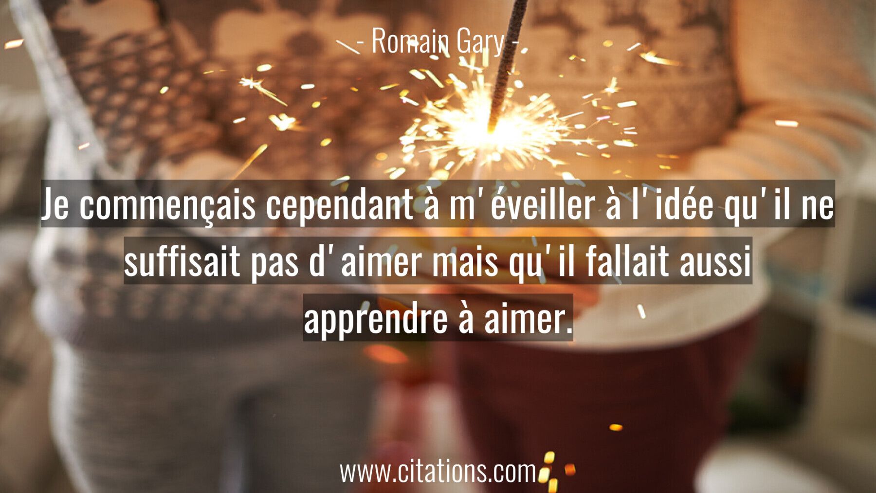 Je commençais cependant à m'éveiller à l'idée qu'il ne suffisait pas d'aimer mais qu'il fallait aussi apprendre à aimer.