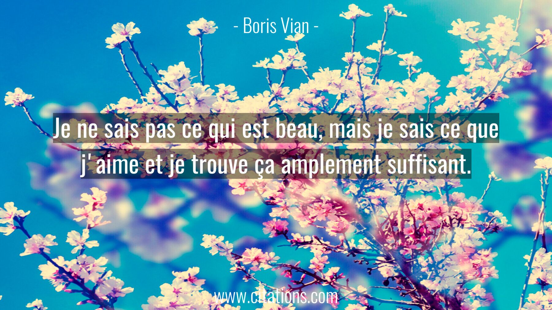 Je ne sais pas ce qui est beau, mais je