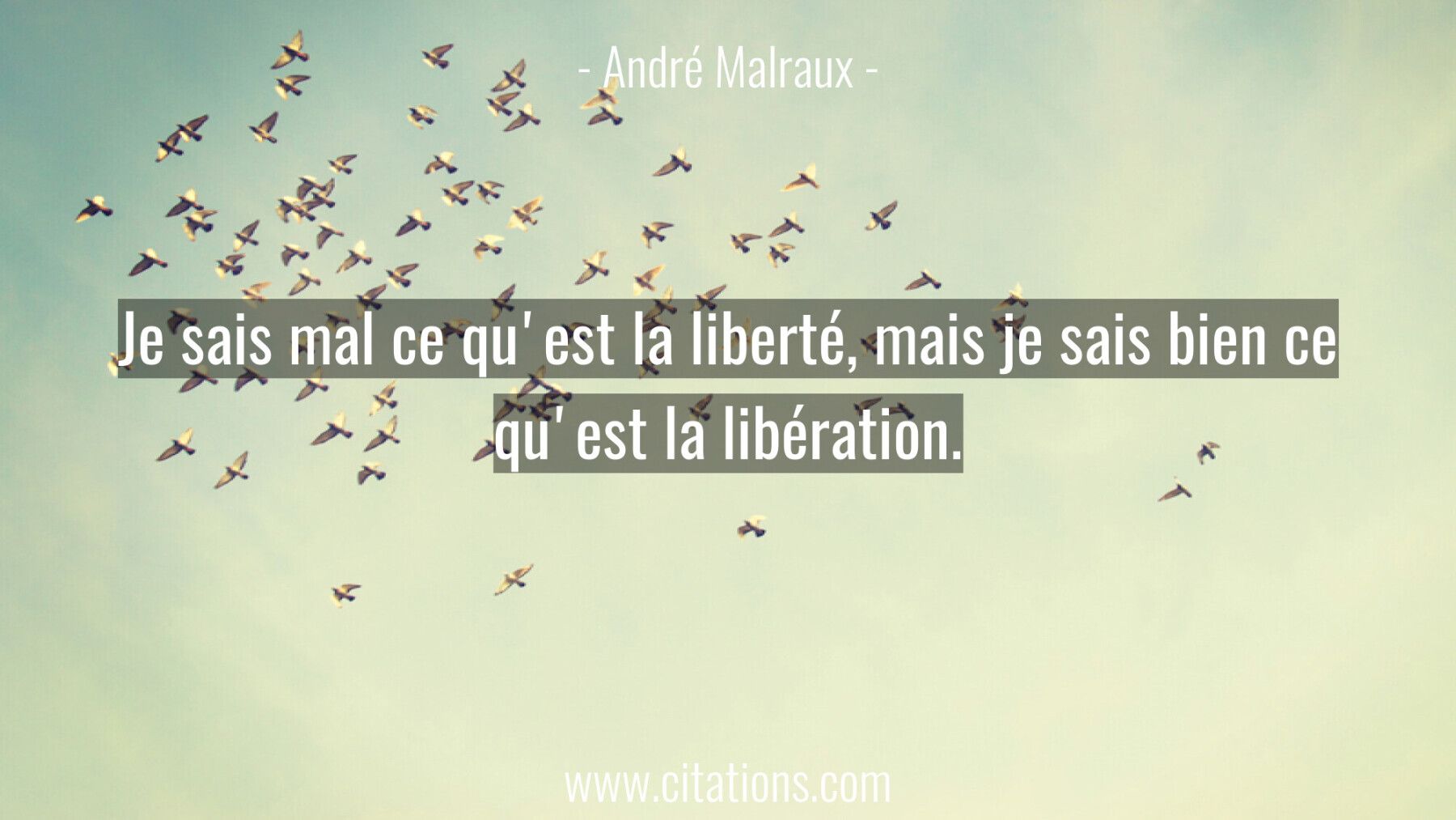 Je sais mal ce qu'est la liberté, mais je sais bien ce qu'est la libération.