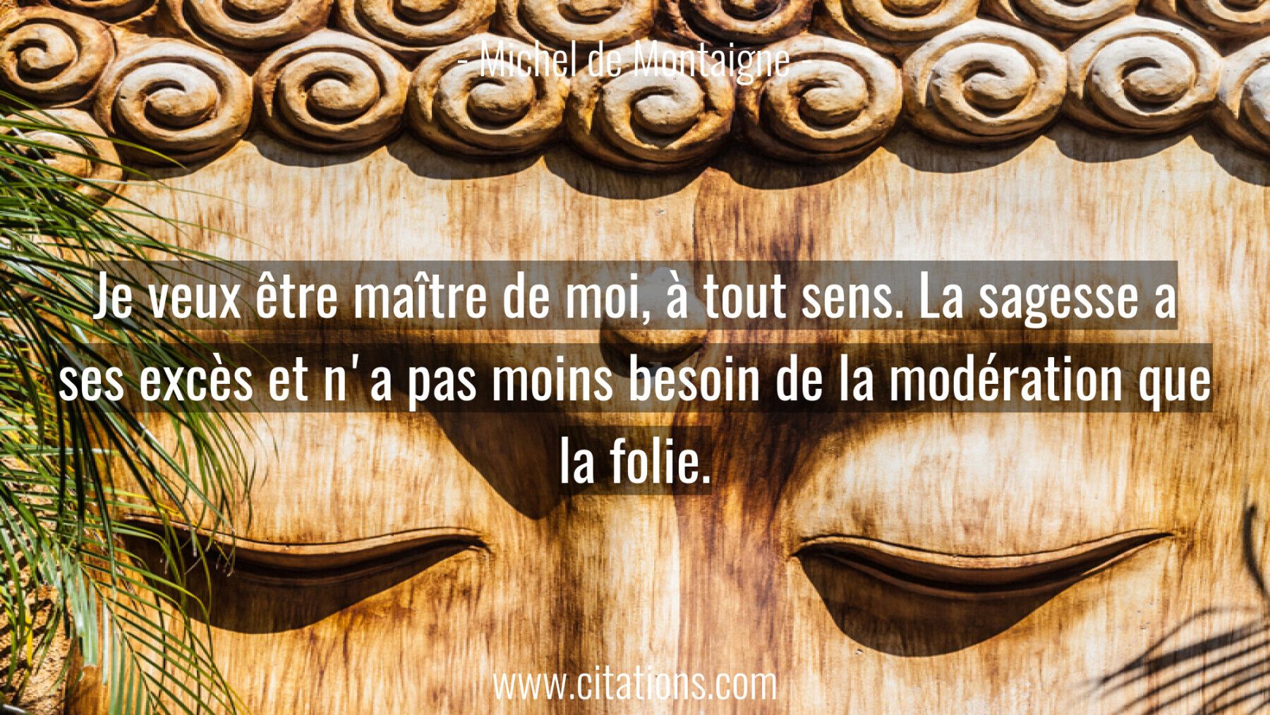 Je veux être maître de moi, à tout sens. La sagesse a ses excès et n'a pas moins besoin de la modération que la folie.