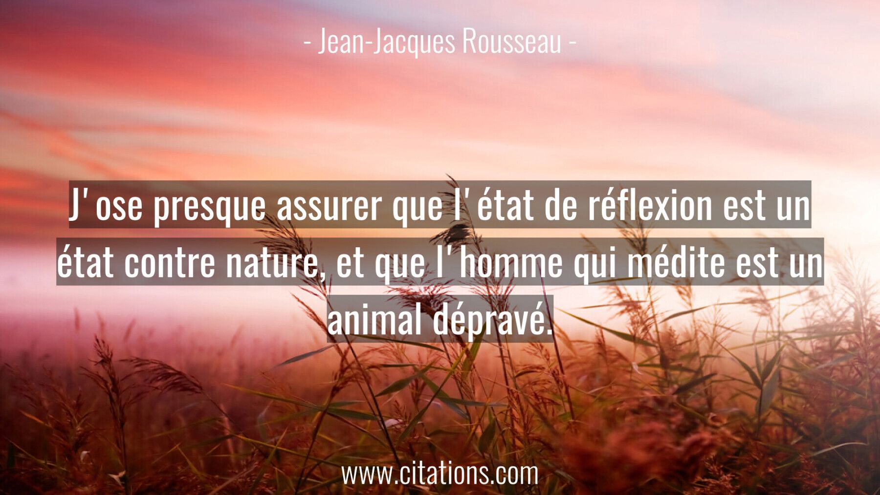 J'ose presque assurer que l'état de réflexion est un état contre nature, et que l'homme qui médite est un animal dépravé...