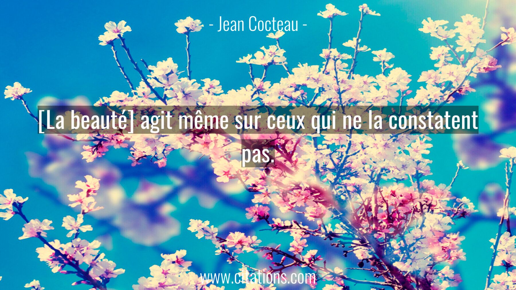 [La beauté] agit même sur ceux qui ne la constatent pas.