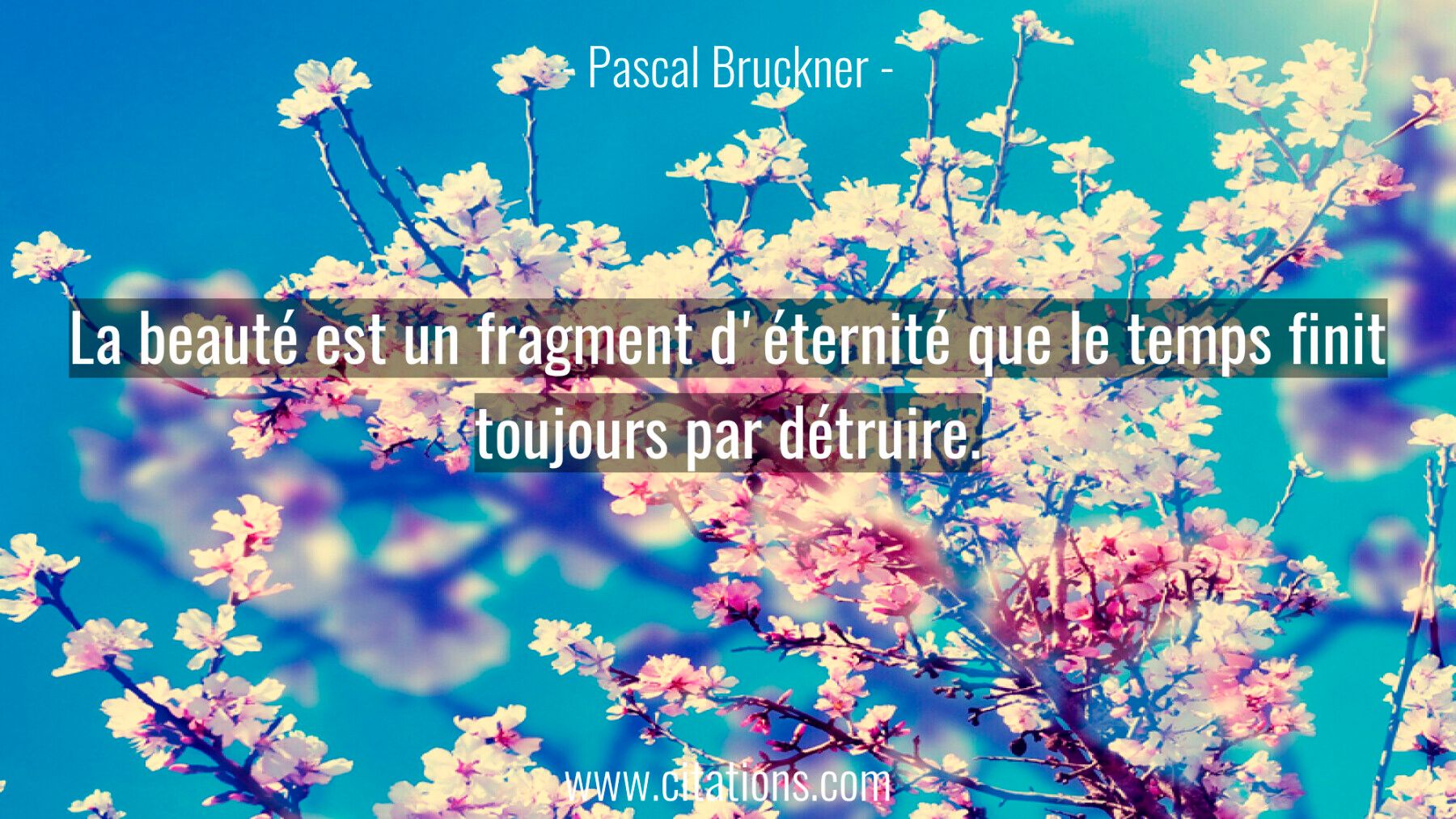 La beauté est un fragment d'éternité que le temps finit