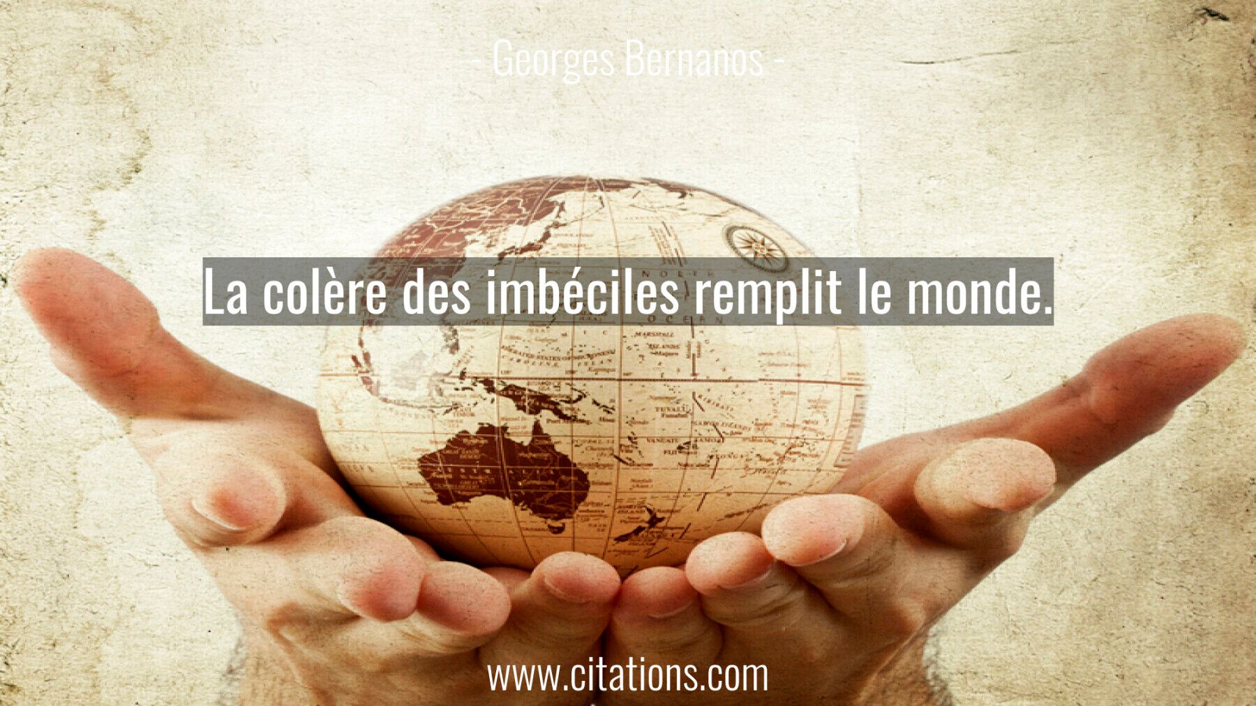 La colère des imbéciles remplit le monde.