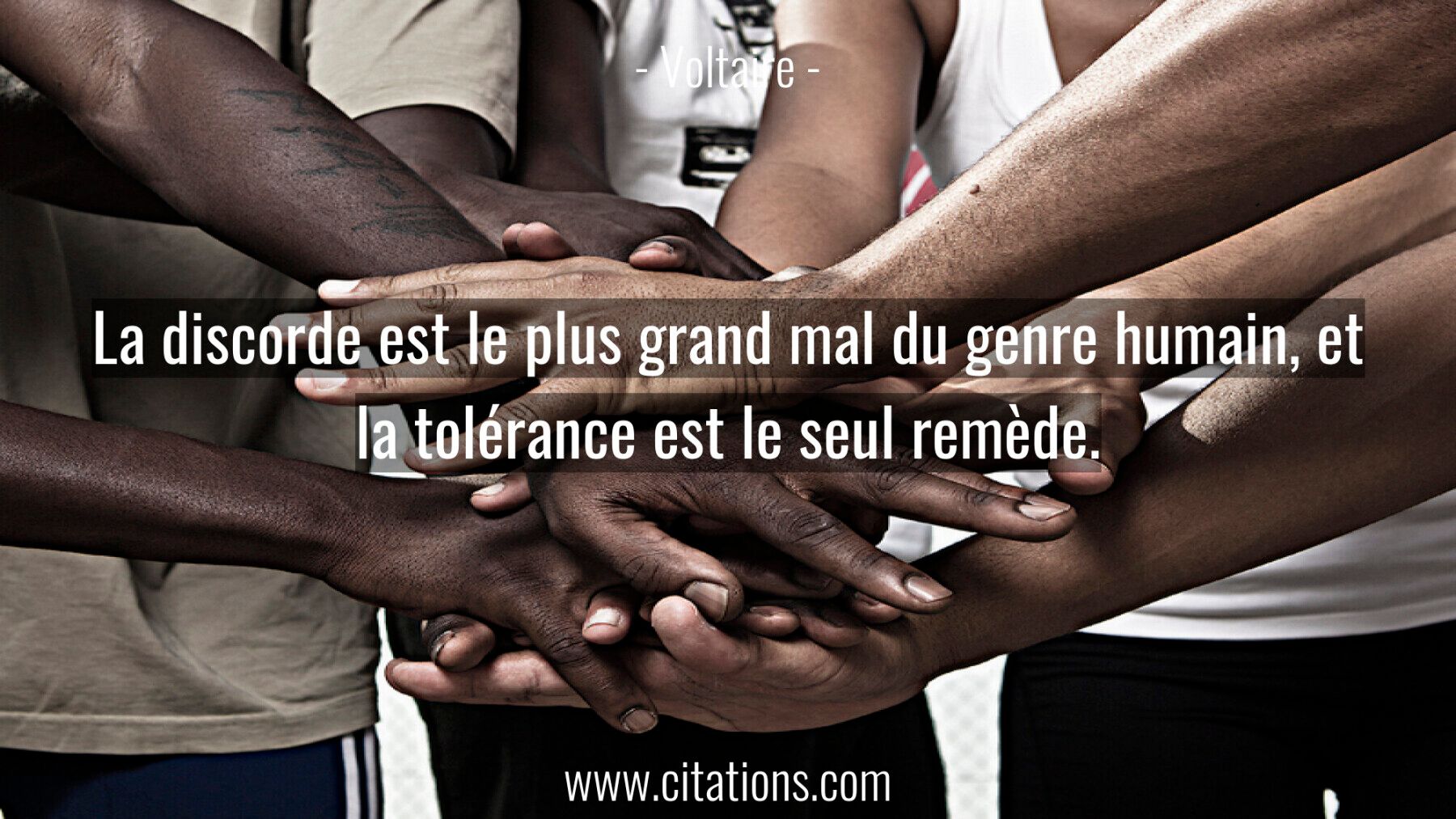 La discorde est le plus grand mal du genre humain,