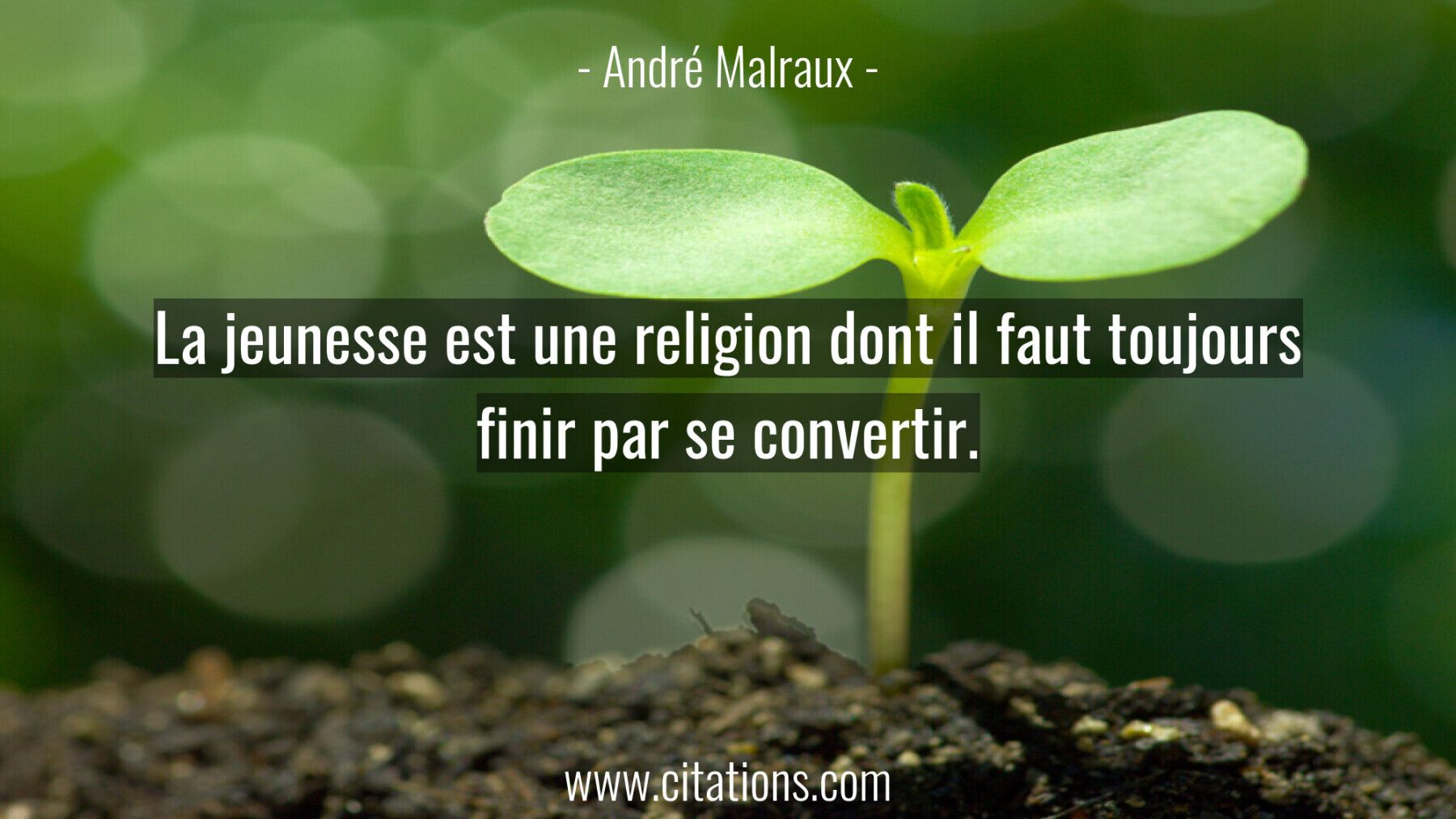 La jeunesse est une religion dont il faut toujours finir par se convertir.