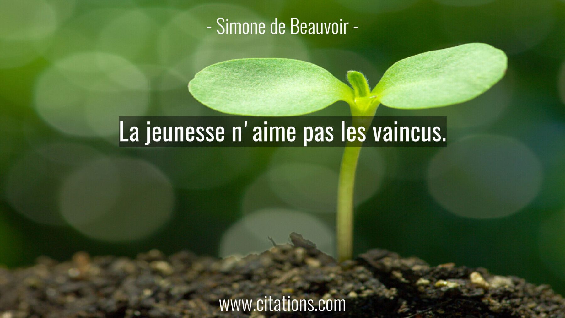 La jeunesse n'aime pas les vaincus.