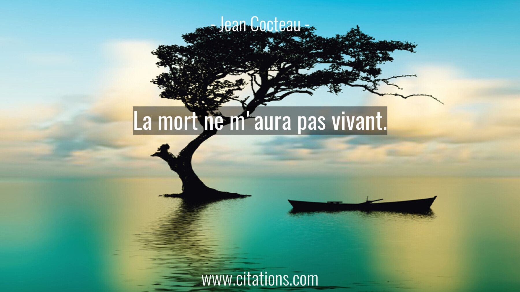 La mort ne m'aura pas vivant.