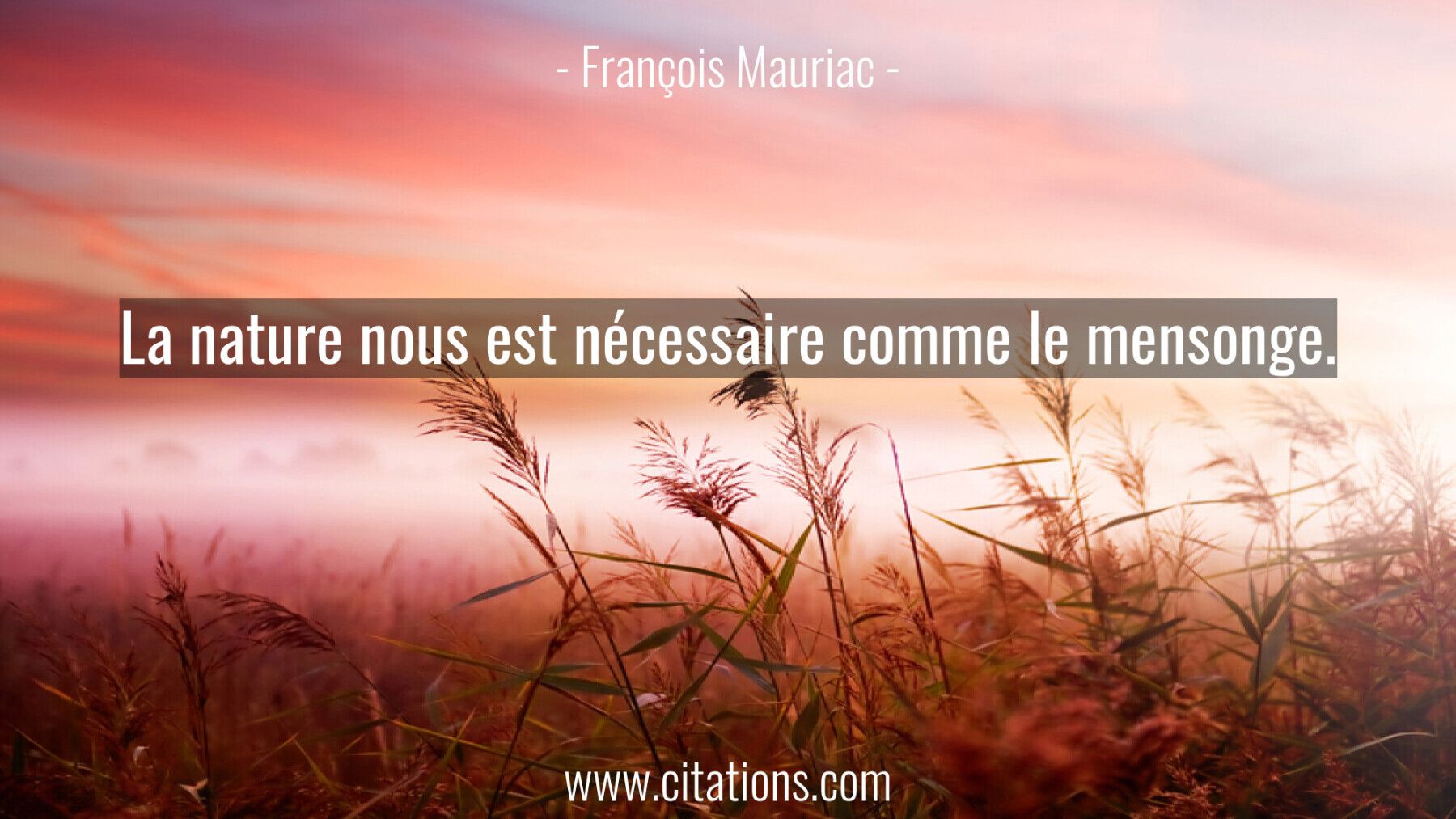 La nature nous est nécessaire comme le mensonge.