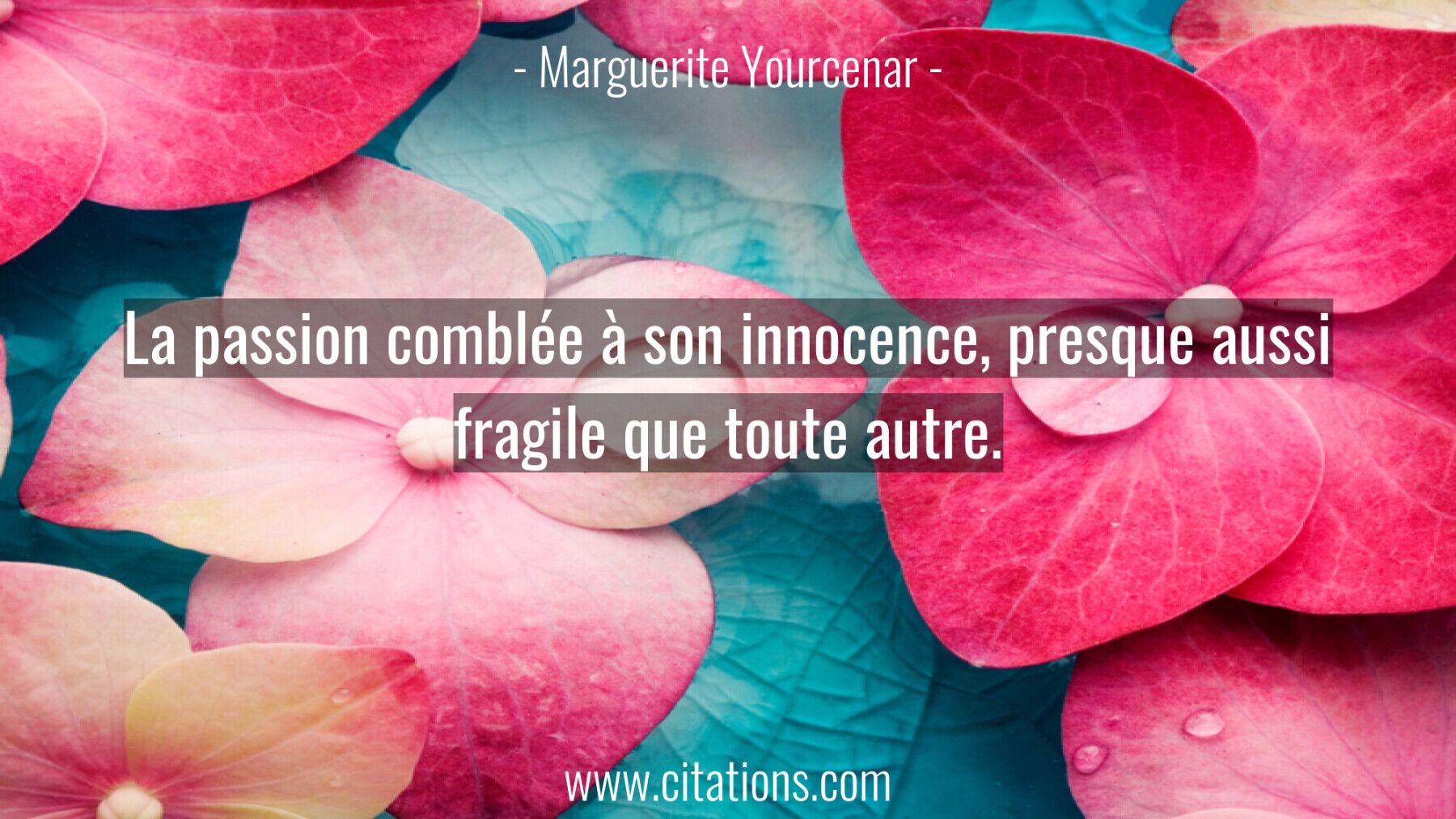 La passion comblée à son innocence, presque aussi fragile que toute autre.