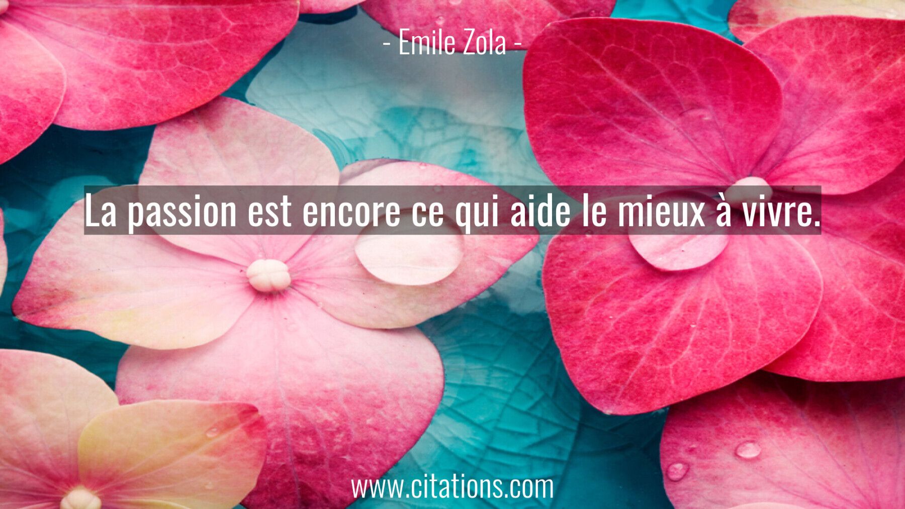 La passion est encore ce qui aide le mieux à