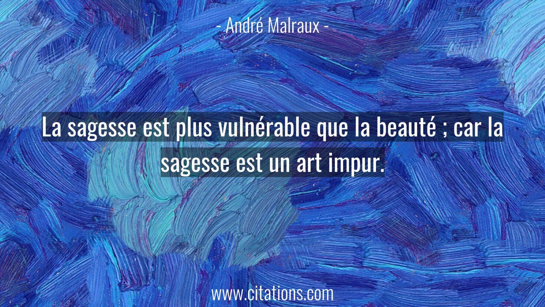La sagesse est plus vulnérable que la beauté ; car la sagesse est un art impur.