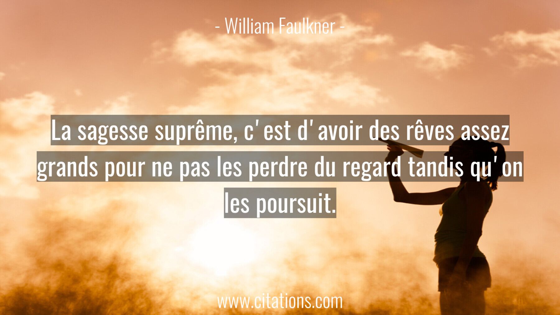 La sagesse suprême, c'est d'avoir des rêves assez grands pour