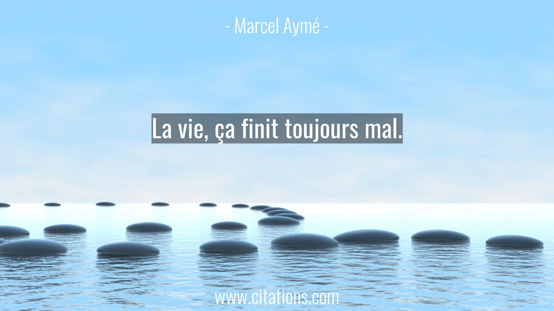 La vie, ça finit toujours mal.