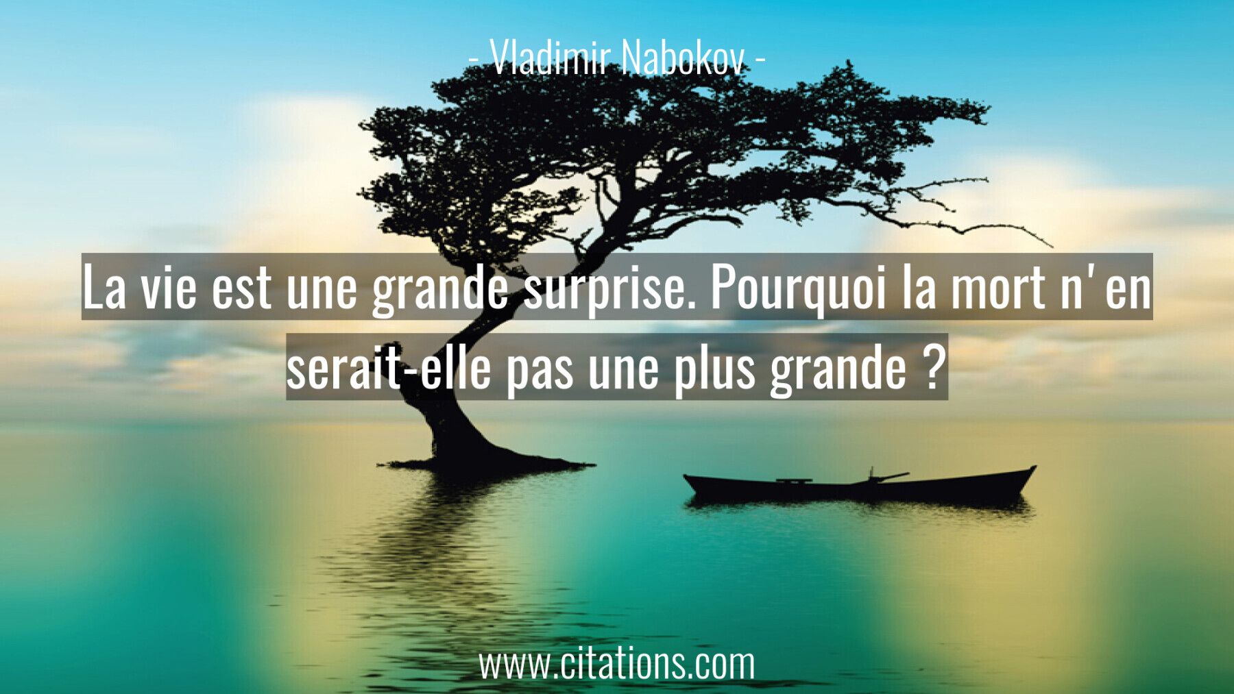 La vie est une grande surprise. Pourquoi la mort n'en
