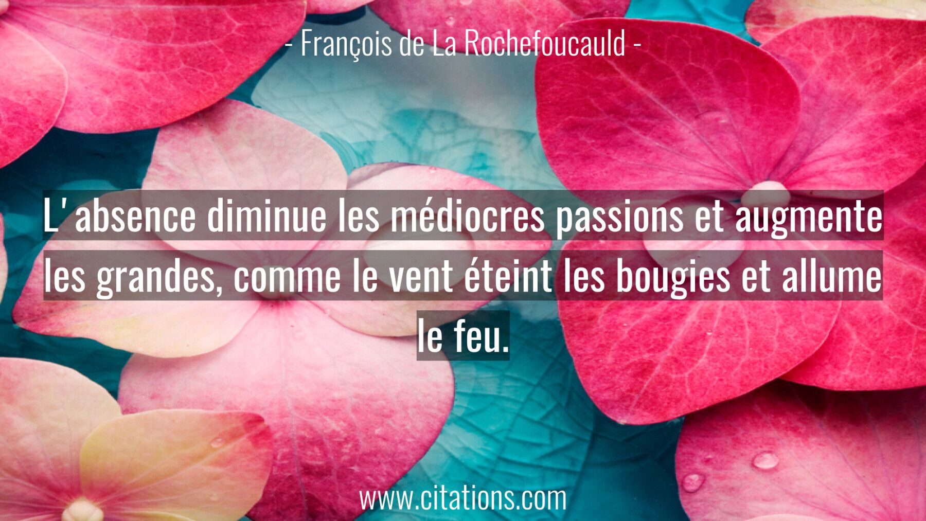 L'absence diminue les médiocres passions et augmente les grandes, comme le vent éteint les bougies et allume le feu.