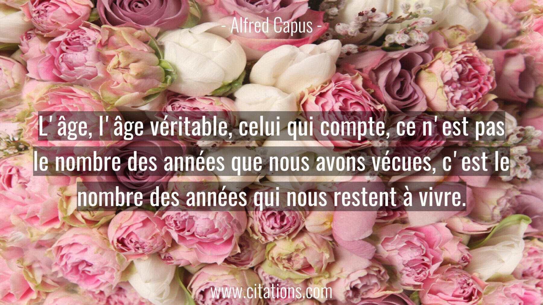 L'âge, l'âge véritable, celui qui compte, ce n'est pas le